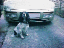 {short description of image}
